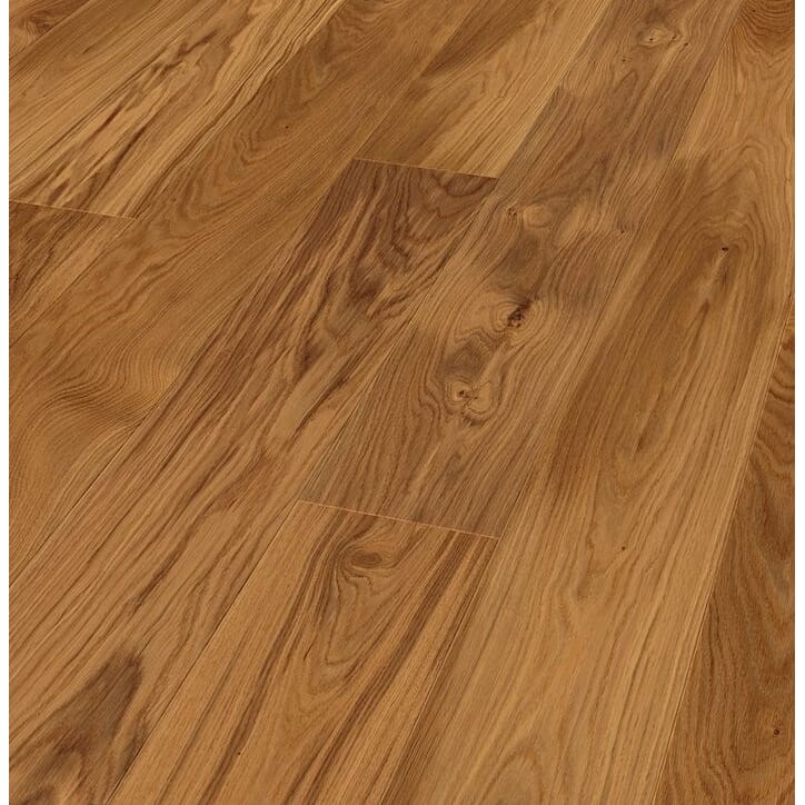 50727157 Nature oak.jpg