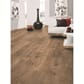 50830424_Rel pettersson oak nature 2.jpg
