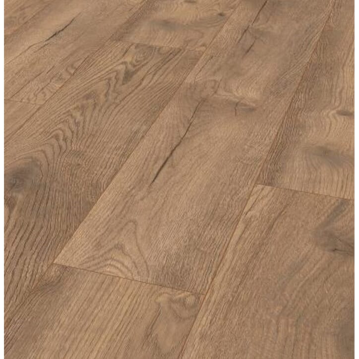 50830424 pettersson oak nature.jpg