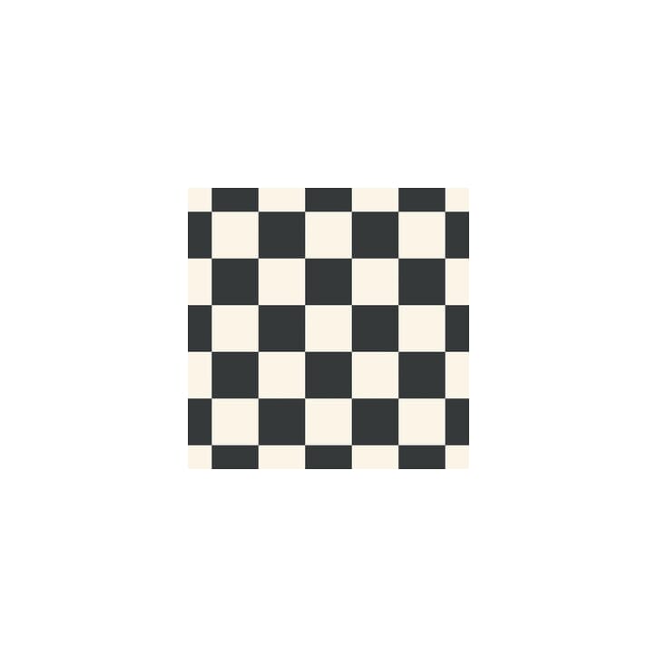51266793 albi black and white.jpg