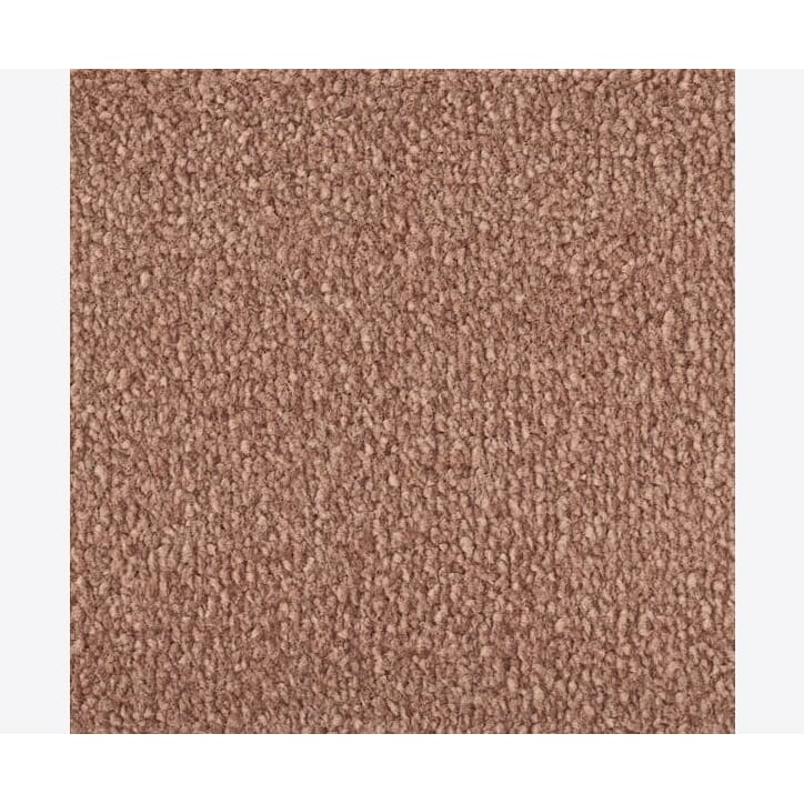 54092617 ambition rose.jpg