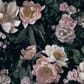 54134795_Rel In_Bloom_7234_New_Dawn_Rose_53x76cm_halfdrop.jpg