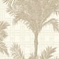 56496765_Rel The_Apartment_3061-Copacabana__64x53_HD_SR.jpg