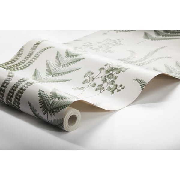 56497420 Herba_Image_WaveImage_Item_7657.jpg