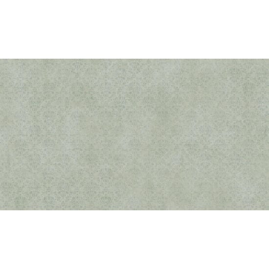 57396462 nostalgia dusty green.jpg