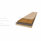 57542406_Rel prodigy bright oak 2.png