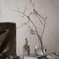 58087801_Rel HiddenParrot-1_Image_Roomshot_Item_2276.jpg