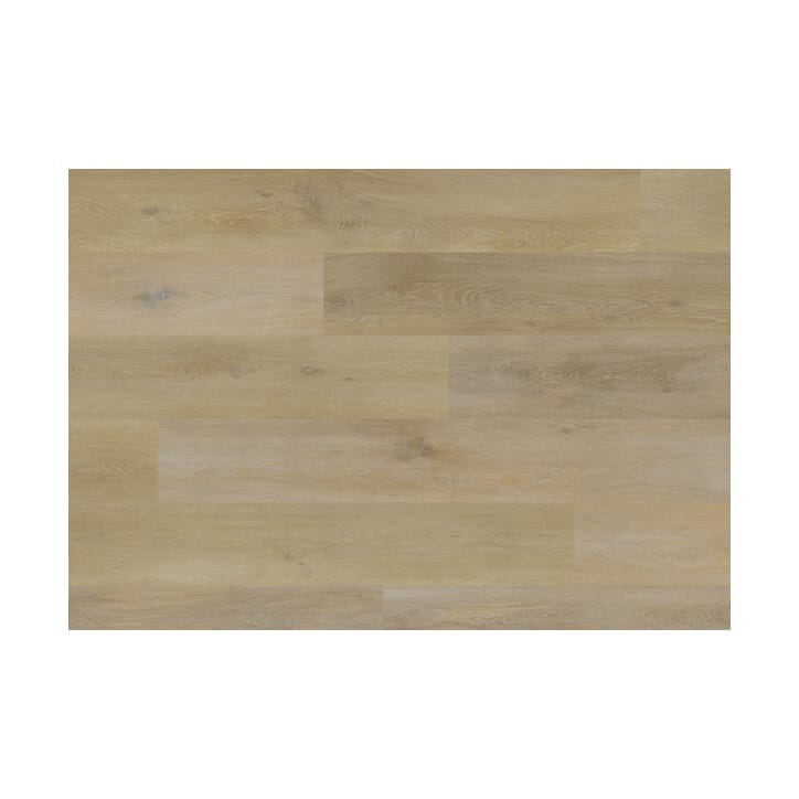 60001869 oak como.jpg