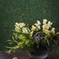 60056855_Rel OrientalGarden-2_Image_Roomshot_Livingroom_Item_4271.jpg
