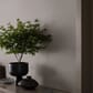 60058214_Rel Heather-1_Image_Roomshot_Diningroom_Item_4327.jpg