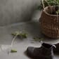 60086651_Rel PineTree-1_Image_Roomshot_Hallway_Item_4704.jpg