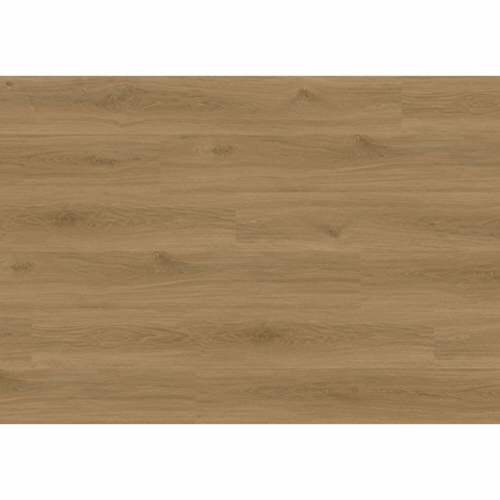 60093601 Macadamia.png
