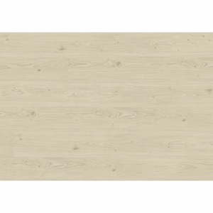 Isocore Promo Elegant