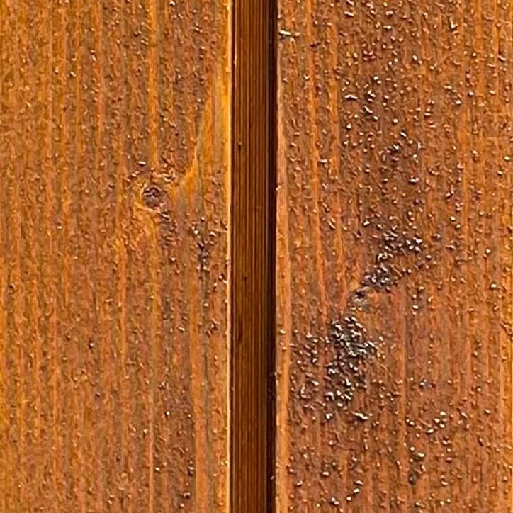 60102691 Hasselnott.jpg