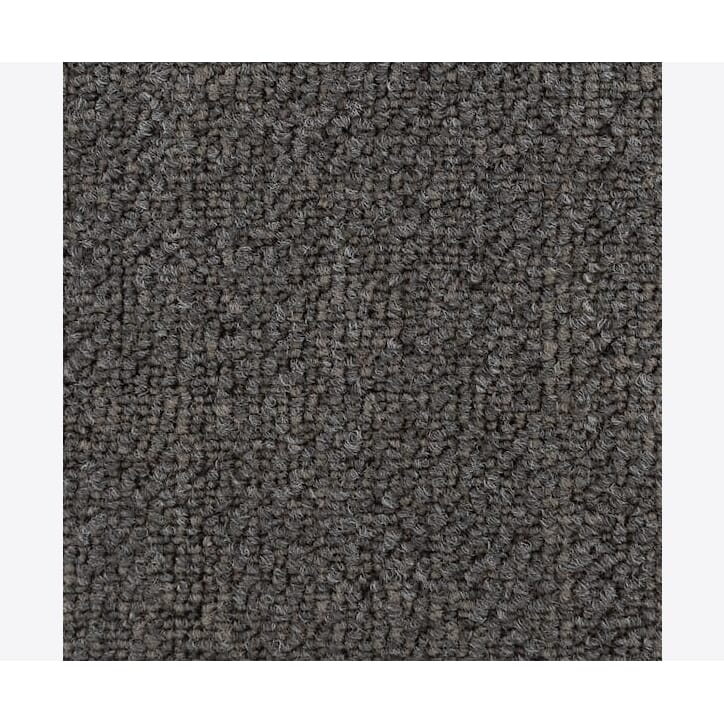 60120016 grid mole 794.jpg