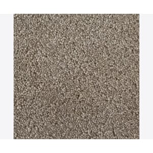 Teppe Golvabia Mondo Camel 242657