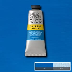 Wn Galeria Acrylic 60Ml 138