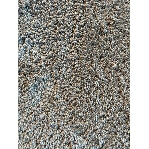 Gvi Teppe Amazing 92 Ab