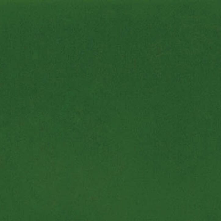 C06E5V16 flock_verde.jpg