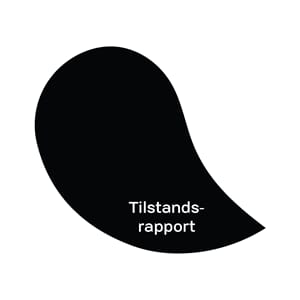 Tilstandsrapport