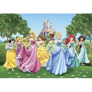 Princess 360x254 cm_restored_11:53:29