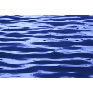 Fototapet Blåtthav Vinyltapet 360X240Cm