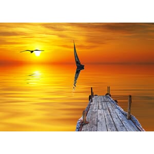 Fototapet Vinyl Seilbåt I Solnedgang 340X240Cm