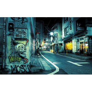 Fototapet Vinyl Tokyo 380X240Cm