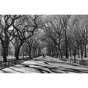 Fototapet Vinyl Poets Walk Central Park Nyc 360X240Cm