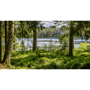 Fototapet Spesialbestilt Shutterstock