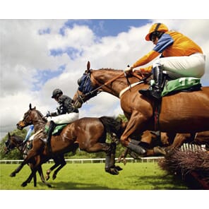 Spesialbestilt tapet