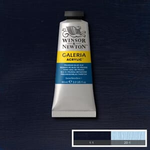 Wn Galeria Acrylic 60Ml 541