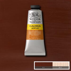 Wn Galeria Acrylic 60Ml 074