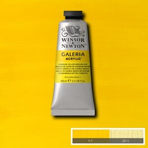 Wn Galeria Acrylic 60Ml 120