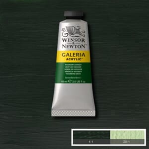 Wn Galeria Acrylic 60Ml 311