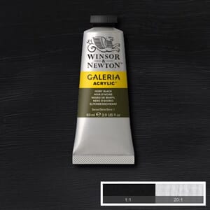Wn Galeria Acrylic 60Ml 331
