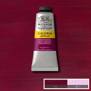 Wn Galeria Acrylic 60Ml 488