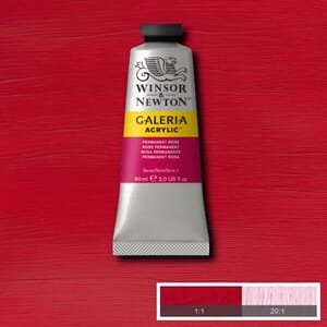 Wn Galeria Acrylic 60Ml 502