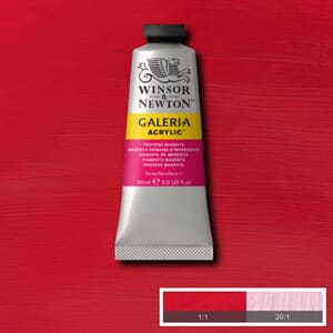Wn Galeria Acrylic 60Ml 533