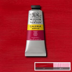 Wn Galeria Acrylic 60Ml 203