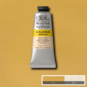Wn Galeria Acrylic 60Ml 422