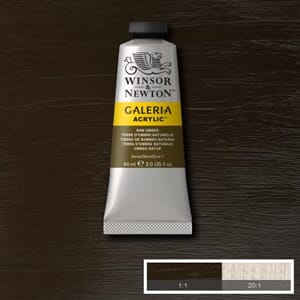 Wn Galeria Acrylic 60Ml 554