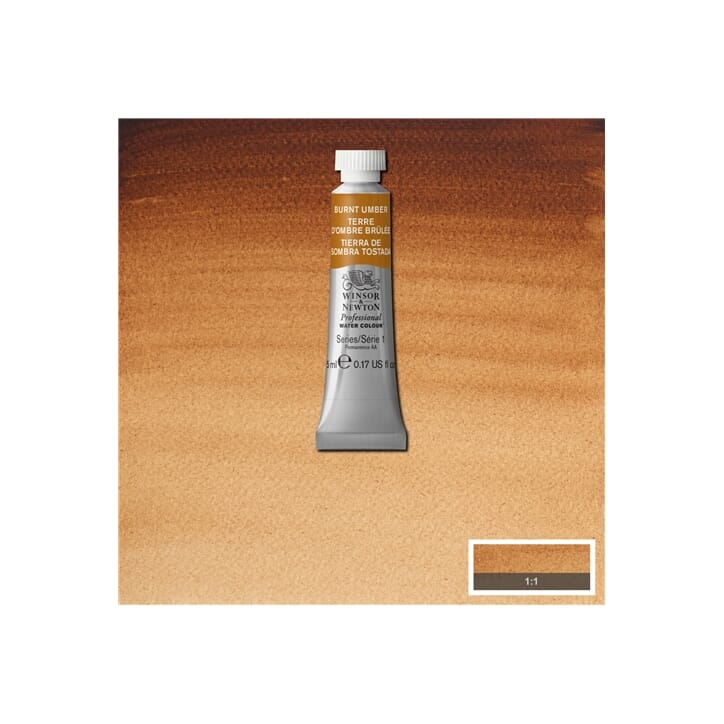 8028076 wna 076 burnt umber.jpg