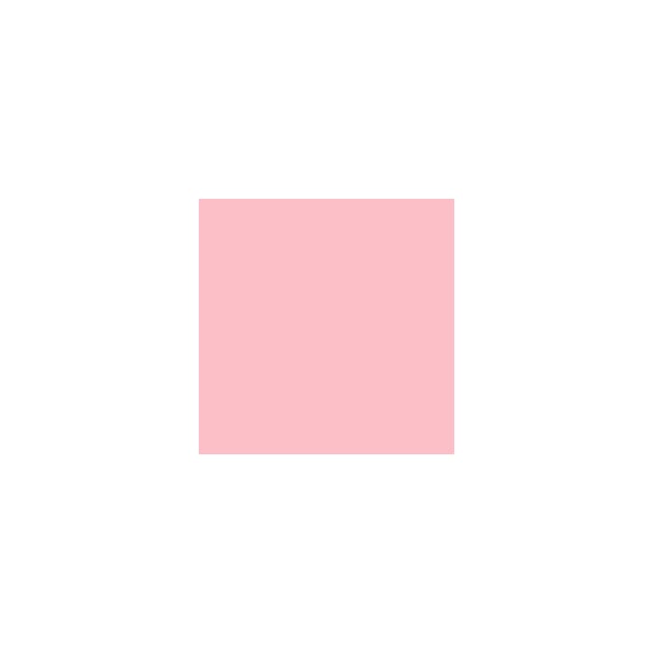 328105 CK793 ROSE GARDEN .jpg
