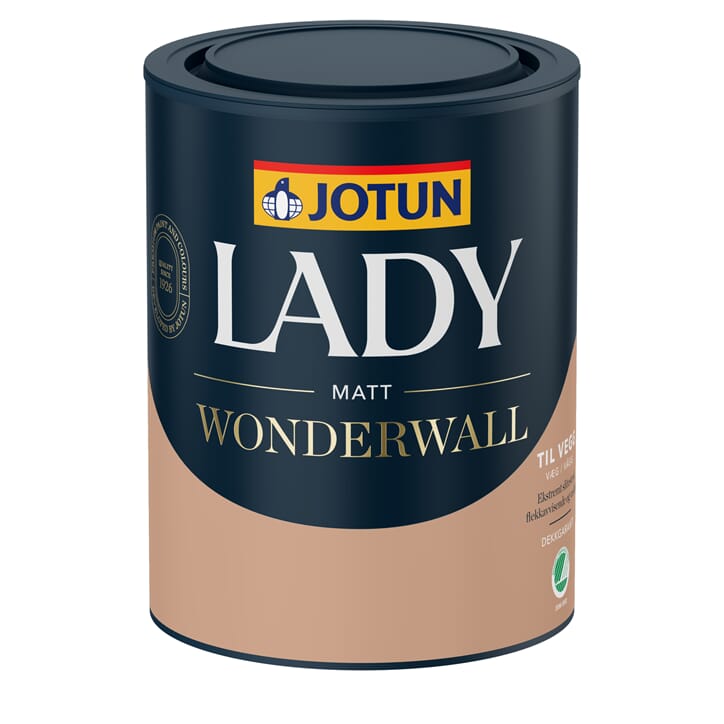 55815037 1L Wonderwall.u.skygge.jpg