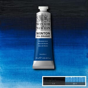 Wn Winton Oil 37Ml 538