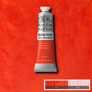 Wn Winton Oil 37Ml 603