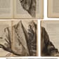 EKA-01_Rel 01_Crop_EKA_Sample_Sheets_Pagina_1_large.jpg