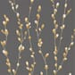 HSTO111468_Rel HSTO111468_zoom.jpg