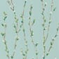 HSTO111468_Rel HSTO111469_zoom.jpg